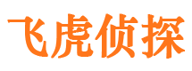 两当市调查公司